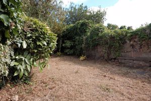 Garden- click for photo gallery
